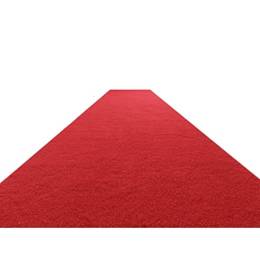 VIP Red Carpet Hire 1m x 10m wide