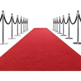 VIP Red Carpet, Chrome Posts & Black Ropes