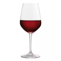 Michelangelo Crystal Wine Glass - 16oz
