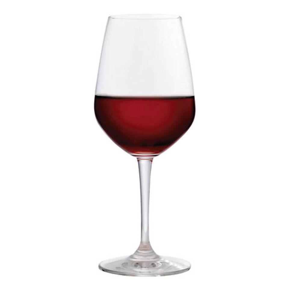 Michelangelo Crystal Wine Glass - 16oz