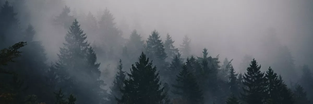 Funeral and Wake Equipment Hire (1)